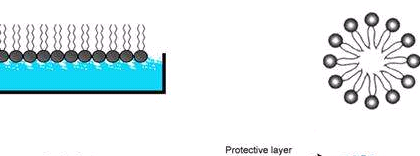 DSPE-hyd-PEG-Tetrazine一种结构多功能、应用广泛的脂质功能材料