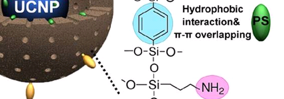 Biotin-PEG-Tetrazine兼具高特异性结合能力和优异生物正交反应活性