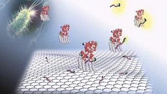 聚苯乙烯包覆氧化铁磁性微球 Fe3O4 -SiO2-COOH Magnetic PS Microspheres