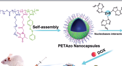 氨基修饰介空聚苯乙烯荧光微球 Amine-functionalized Hollow PS Fluorescent Microspheres
