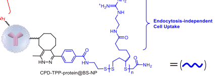 FA-PEG-Biotin，叶酸-聚乙二醇-生物素