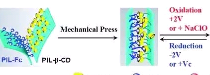 Fluorescent Protein G，荧光标记的重组蛋白的介绍