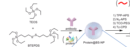 FA-PEG-Alkyne，叶酸-聚乙二醇-炔基