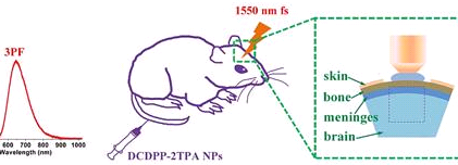 NH2-PEG-Serine，氨基-聚乙二醇-丝氨酸具有功能化潜力