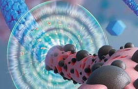 Man-AuNPs：甘露糖修饰纳米金（Mannose-Modified Gold Nanoparticles）