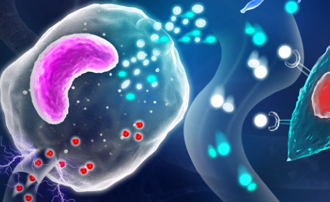 载药造影脂质体（Drug-Loaded Imaging Liposomes）-西安pg电子娱乐游戏app
生物