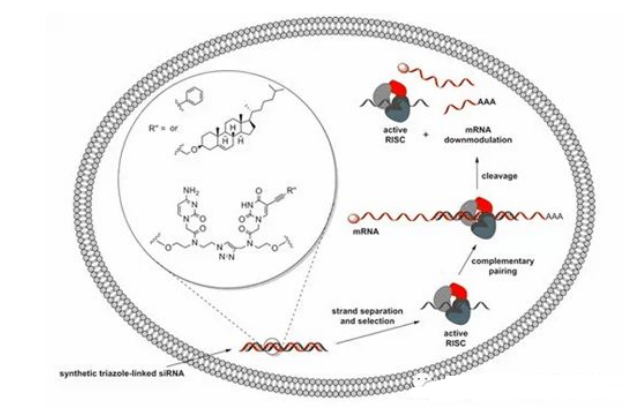 1594186992719289.png image.png