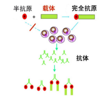 1596686474815963.png image.png