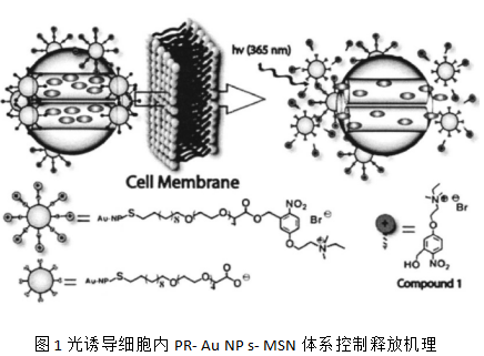 1617933454728608.png image.png