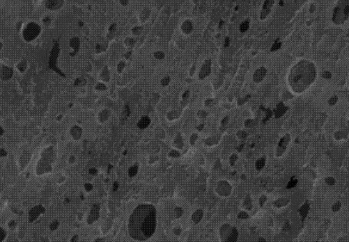 1618365283821918.png image.png