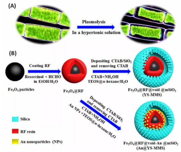 1620958047333203.png image.png