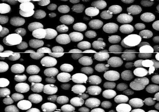 1624501843516339.png image.png