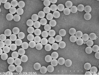 1625134790284003.png image.png