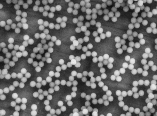 1625134805960228.png image.png