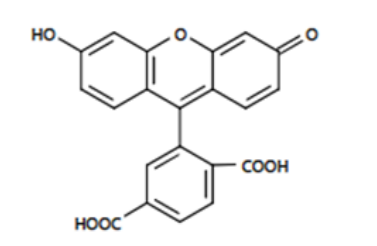 1630574765415078.png image.png