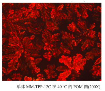 1641465668963282.png image.png