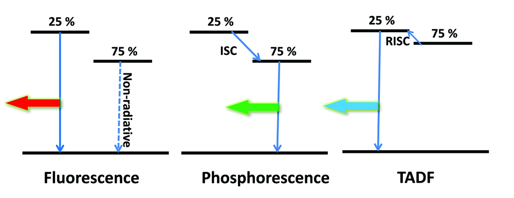 1641971730532824.png image.png