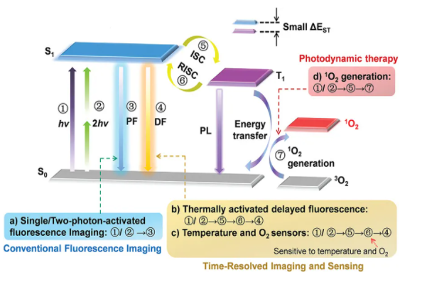 1642841258901355.png image.png