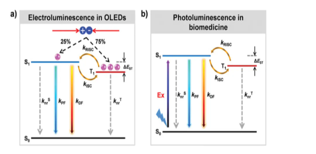 1642841269618754.png image.png