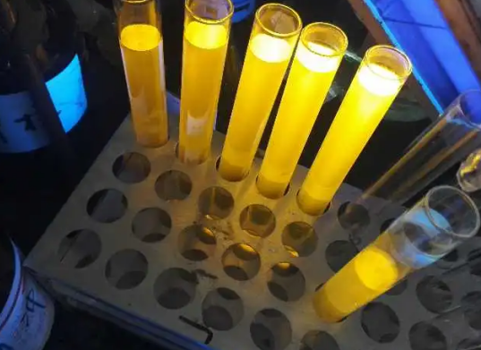 1645154875742032.png image.png