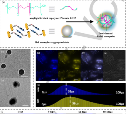 1645154919408945.png image.png