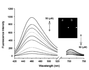 1645434558236764.png image.png