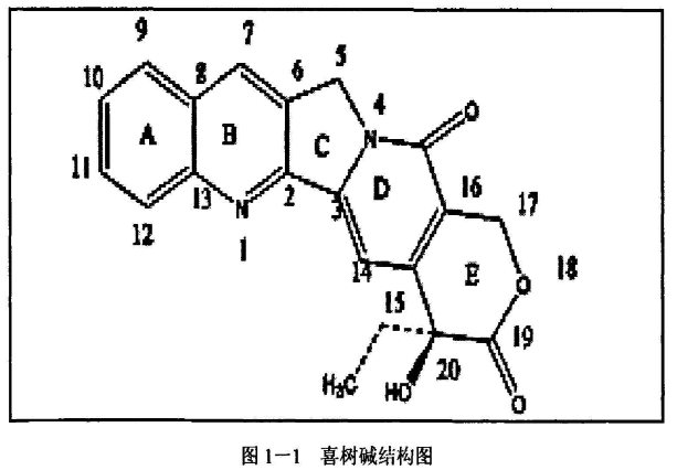 喜树碱.png 喜树碱.png