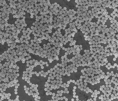 1648632975945245.png 1648632975945245.png