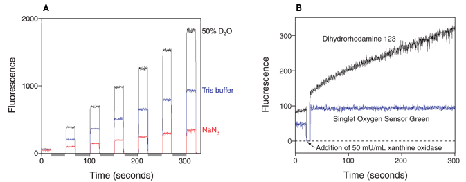 SOSG检测溶液和植物组织中的单线态氧 SOSG检测溶液和植物组织中的单线态氧