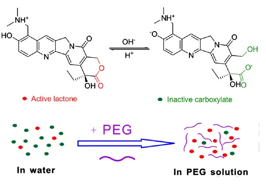 PAMAM G4-PEG2000-NHS树枝状聚酰胺胺接聚乙二醇活性酯 PAMAM G4-PEG2000-NHS树枝状聚酰胺胺接聚乙二醇活性酯