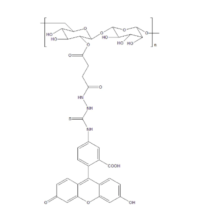 Dextran-Fluorescein Dextran-Fluorescein