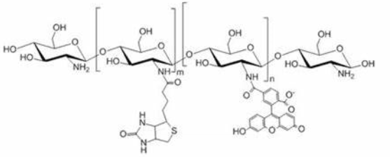 FITC-Chitosan FITC-Chitosan