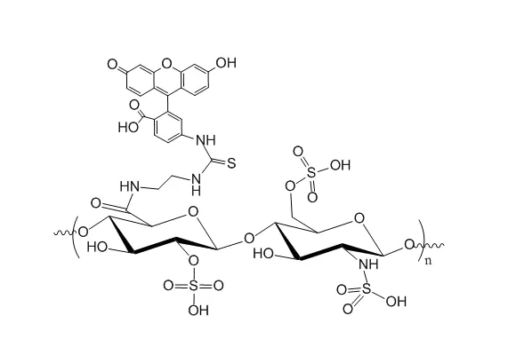 FITC-Chitosan FITC-Chitosan