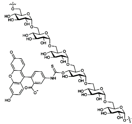 FITC-Dextran FITC-Dextran