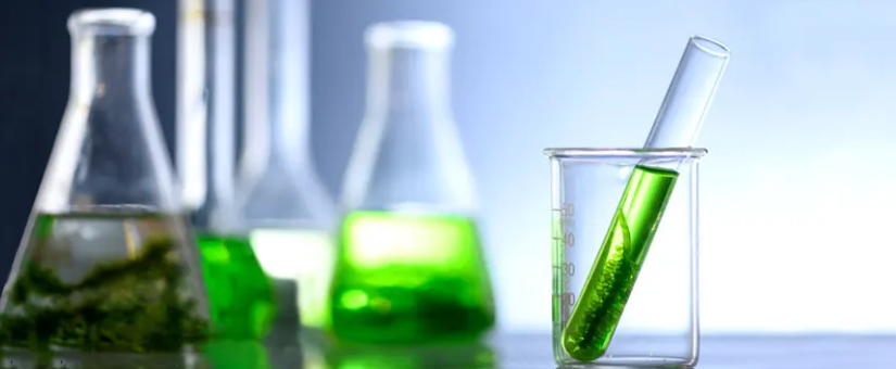 sulfate glycosaminoglycan sulfate glycosaminoglycan