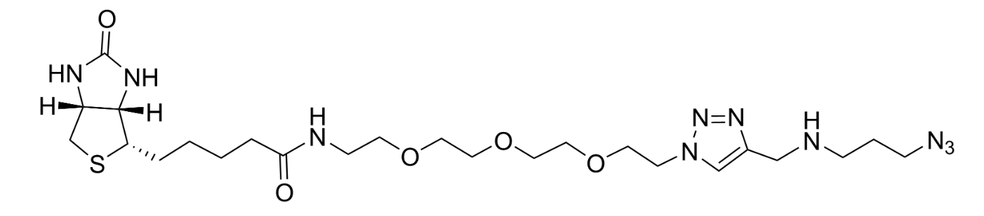 Biotin Azide Plus Biotin Azide Plus