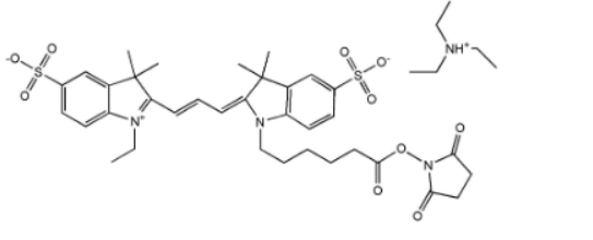 Cyanine3 NHS ester Cyanine3 NHS ester