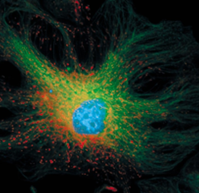 1650852650808859.png image.png