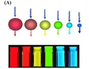 1650855089686228.png image.png