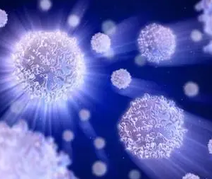 1650957892387659.png 微信截图_20220426152447.png