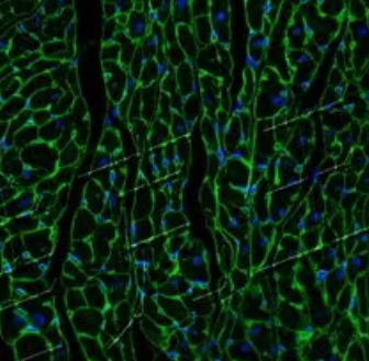 1650963379248398.png 微信截图_20220426165614.png