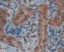 1651024831666689.png 微信截图_20220427100025.png