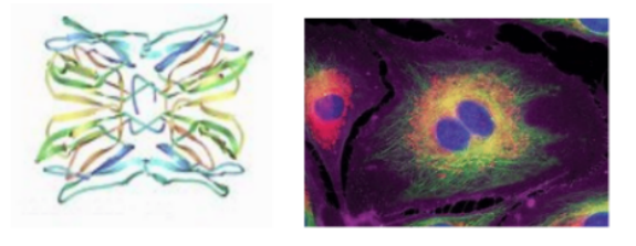 1651029561726174.png 1.png