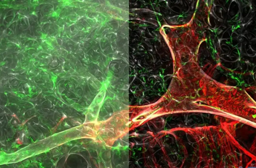 1651029687544764.png 2.png