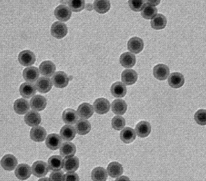 核壳结构上转换纳米粒 核壳结构上转换纳米粒