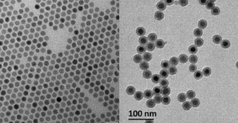 材料组成:氨基化二氧化硅包覆NaYF4:Yb,Tm,激发波长980,发射波长365/450/470nm±15 nm,表面配体-NH2,发蓝光,分散在水中,粒径50±10nm 材料组成:氨基化二氧化硅包覆NaYF4:Yb,Tm,激发波长980,发射波长365/450/470nm±15 nm,表面配体-NH2,发蓝光,分散在水中,粒径50±10nm