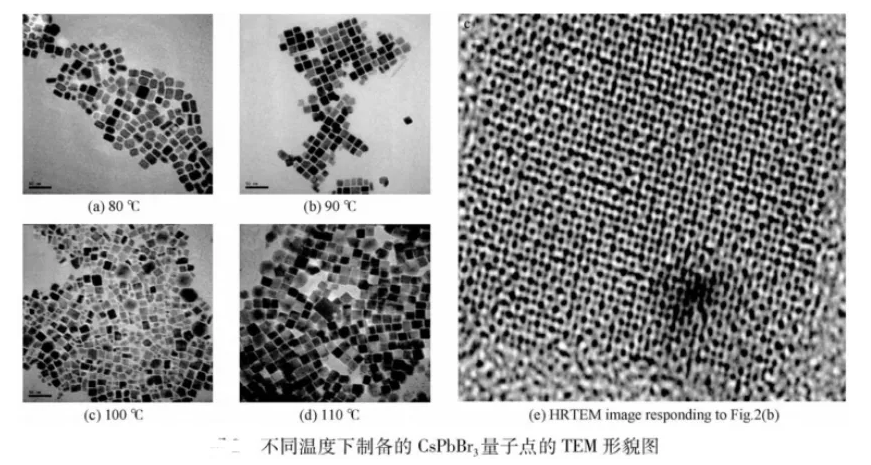 1651141448797936 1651141448797936