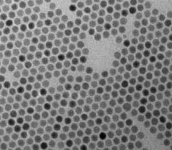 1651828427148651.png 1.png