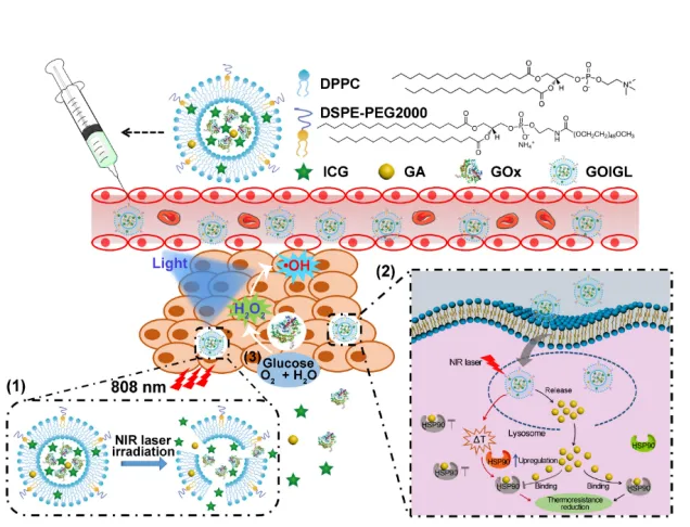 1652174681582918.png 1.png