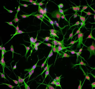 1652260442579934.png 1.png